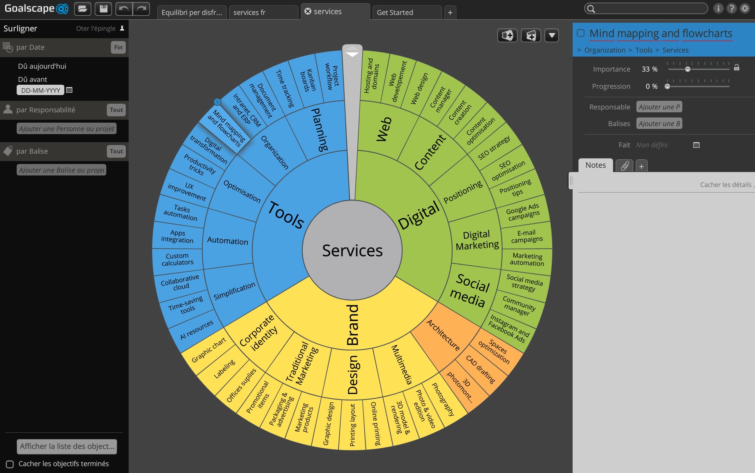 Visual goal setting software to provide a rich overview of goals