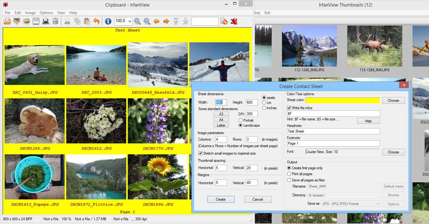The first Windows graphic viewer worldwide with multiple (animated) ICO
